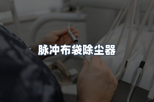 脉冲布袋除尘器